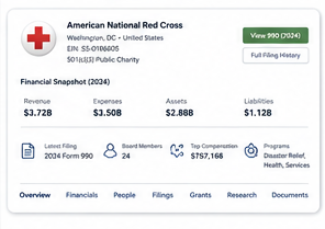 Example nonprofit organization profile